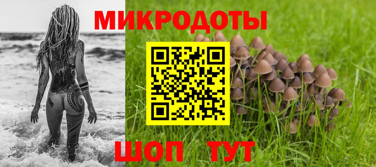 Галлюциногенные грибы Magic Shrooms  Вход с VPN  Камень-на-Оби 